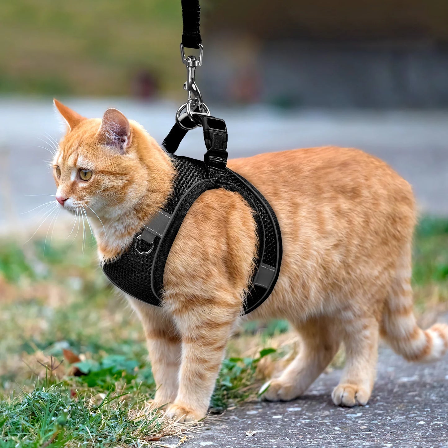 Cat Harness and Leash for Walking, Escape Proof Adjustable Cat Vest Harnesses, Easy Control Breathable Reflective Strips Jacket, Soft Harness for Puppy Small Medium Large Cats, Black(Xs)