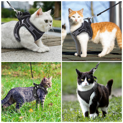 Cat Harness and Leash for Walking, Escape Proof Adjustable Cat Vest Harnesses, Easy Control Breathable Reflective Strips Jacket, Soft Harness for Puppy Small Medium Large Cats, Black(Xs)