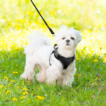 Cat Harness and Leash for Walking, Escape Proof Adjustable Cat Vest Harnesses, Easy Control Breathable Reflective Strips Jacket, Soft Harness for Puppy Small Medium Large Cats, Black(Xs)